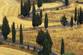 tuscan road