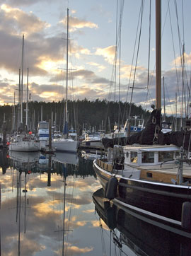 friday harbor